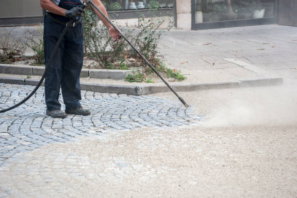 Best Winterizing Services  in Hawthorne, FL